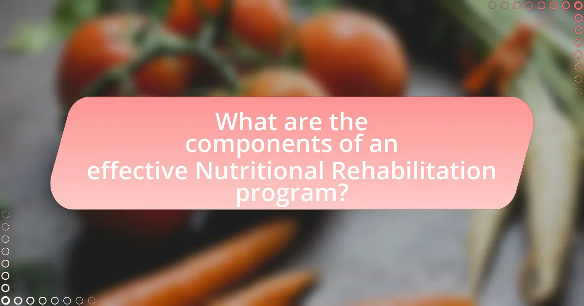 What are the components of an effective Nutritional Rehabilitation program?