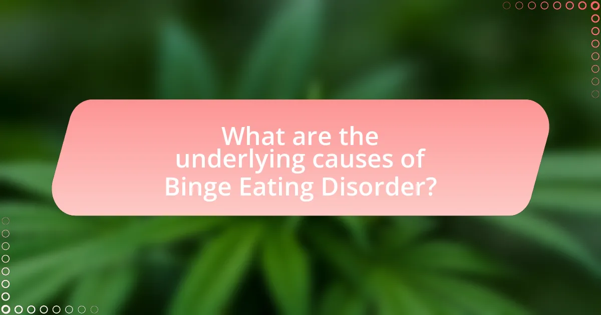 What are the underlying causes of Binge Eating Disorder?